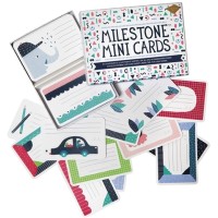 Milestone Mini Cards mit 100 illustrierten Karten zum Beschriften