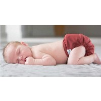 GroVia Newborn All-in-One-Windel
