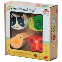 Tender Leaf Toys Lernspiel Touch Sensorik 5 Teile